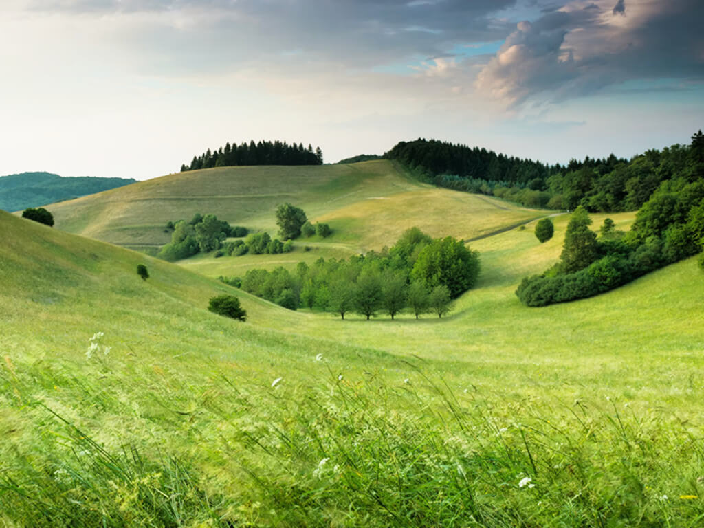 Paisaje urbano en España